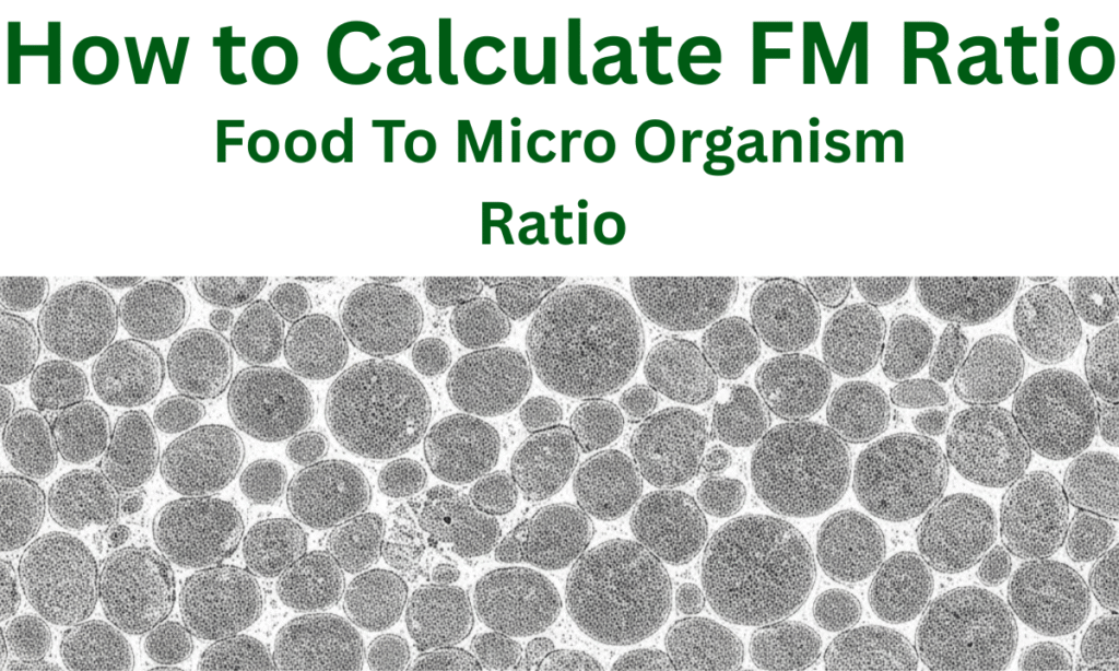How to Calculate FM Ratio